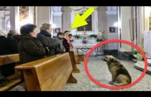 You Thought It Was Funny Seeing This Dog At Church Until You watch Why ?