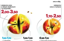 Sadownik za kg jabłek dostaje około złotówki, na straganie cena wzrasta do 3,50