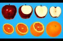 Lekko psychodeliczna animacja poklatkowa - znikające owoce i warzywa