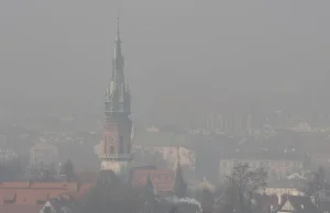 Policja kontra smog: Funkcjonariusze dostaną antysmogowe maski