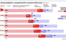 Zagranica odcina kupony od inwestycji w Polsce, zyski płyną za granicę