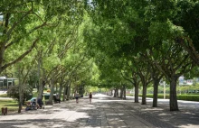 Park Edwarda VII – najciekawszy park w Lizbonie