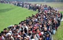 Coraz więcej nielegalnych imigrantów próbuje dostać się do Polski