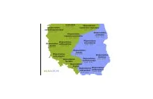 Infografika z wynikami wyborów w województwach