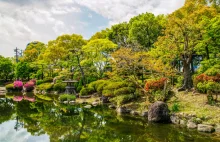 Jak wygląda japoński ogród?