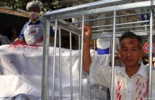 Chiny zabijają ludzi dla narządów! Ten zbrodniczy proceder przynosi miliardy $