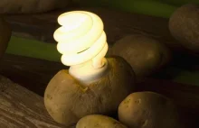 Energia elektryczna z ziemniaka
