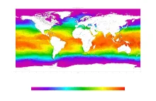 Mapa aktualnych temperatur na świecie - lądy, morza, oceany