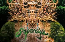 Codex VI by Shpongle - nowa płyta Shpongle