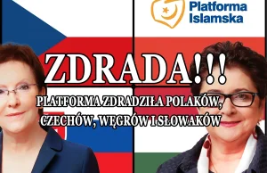 Platforma zdradziła Polaków, Czechów, Węgrów i Słowaków