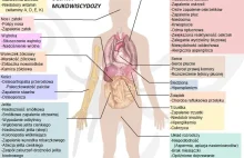 Nanocząstki umożliwiają terapię genową mukowiscydozy