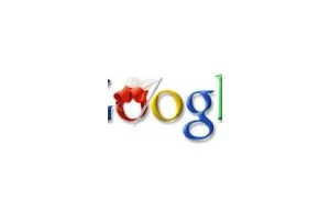 Polacy dostali własne logo w Google na 11 Listopada
