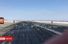 Gold bars rain down on Russian airport