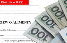 Dłużnicy alimentacyjni w Krajowym Rejestrze Zadłużonych