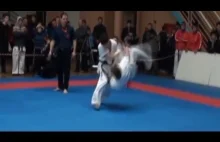 Kyokushin karate KO