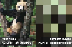 Tyle pikseli, ile osobników danego gatunku. Te obrazki dają do myślenia.