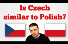 Czy język czeski jest podobny do języka polskiego?