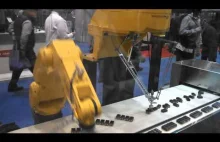 Roboty FANUC pakujące baterie w odpowiedniej wielkości zestawy