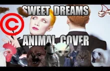 Eurythmics - Sweet Dreams w wykonaniu zwierzaków