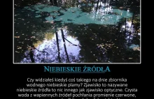 Niebieskie źródła