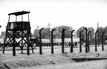 Ucieczka z Auschwitz-Birkenau. Poruszająca relacja Andrieja Pogożewa