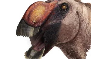 Oto prawdopodobnie najdziwniejszy dinozaur jakiego odkryto