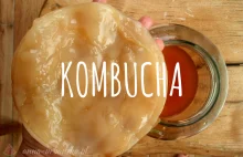 KOMBUCHA - fermentowana herbata, która podbija świat