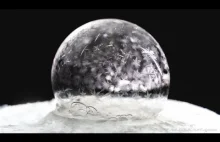 Freezing soap bubbles at -15 celsius - Warsaw