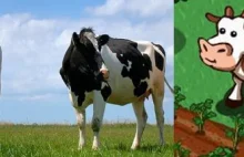 Dotacje na krowy z FarmVille okazały się bzdurą