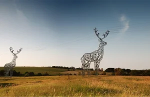 elektryczne jelenie :)