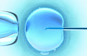 Bruksela pozywa Polskę za in vitro