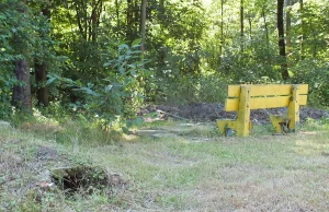 Jastrzębie: 13-latka znalazła w lesie zwłoki mężczyzny