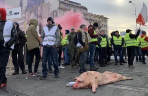 Protest sadowników w Warszawie. Rozsypali jabłka i podpalili opony.
