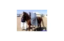 Climbing on a Horse Fail