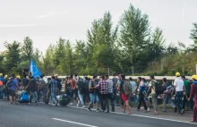 10 powodów, dla których Polska nie powinna przyjmować tzw. uchodźców