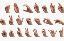 Giphy udostępniło 2000 GIF-ów, dzięki którym nauczycie się języka migowego