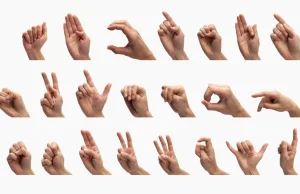 Giphy udostępniło 2000 GIF-ów, dzięki którym nauczycie się języka migowego