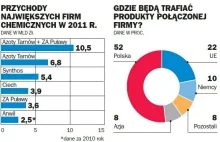 Wielka synteza chemiczna łączenie grupy Azoty Tarnów z zakładami w Puławach