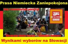 Prasa niemiecka zatroskana Słowacją - blog stopfalszerzom