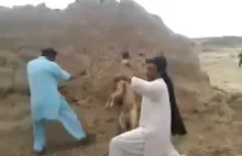 Arabowie znęcają się nad psem
