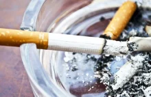 Czesi zakazują palenia papierosów w restauracjach