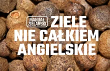 Korzennik lekarski: Ziele nie całkiem angielskie