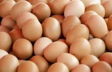 Polskie jaja podbiją świat. Ich największą konkurencją są produkty z Ukrainy.