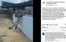 Zoo w Zamościu pokazało to zdjęcie. Ojciec wkłada małe dziecko do wybiegu...