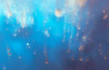 Czy gwiazdy mogą wywoływać migotanie odległych kwazarów?