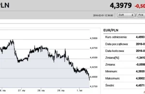 Złoty odzyskuje siły. Euro poniżej 4,40 zł