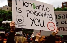 Roundup będzie oznaczony jako 'powodujący raka', Monsanto zaskoczone (EN)