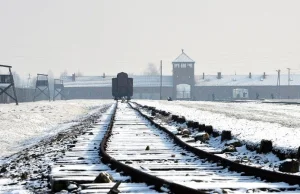 Niemcy przepraszają za "polskie obozy zagłady"