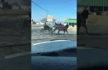 Amisz kręci bączka dorożką na zmarzniętej drodze