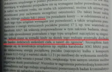 "Badanie prędkości pocisków o niskiej energii" - jak wydać 4 miliony na NIC!